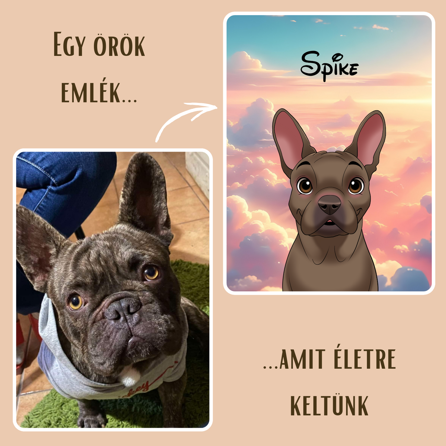 PetDraw™ Digitális Kisállatportré