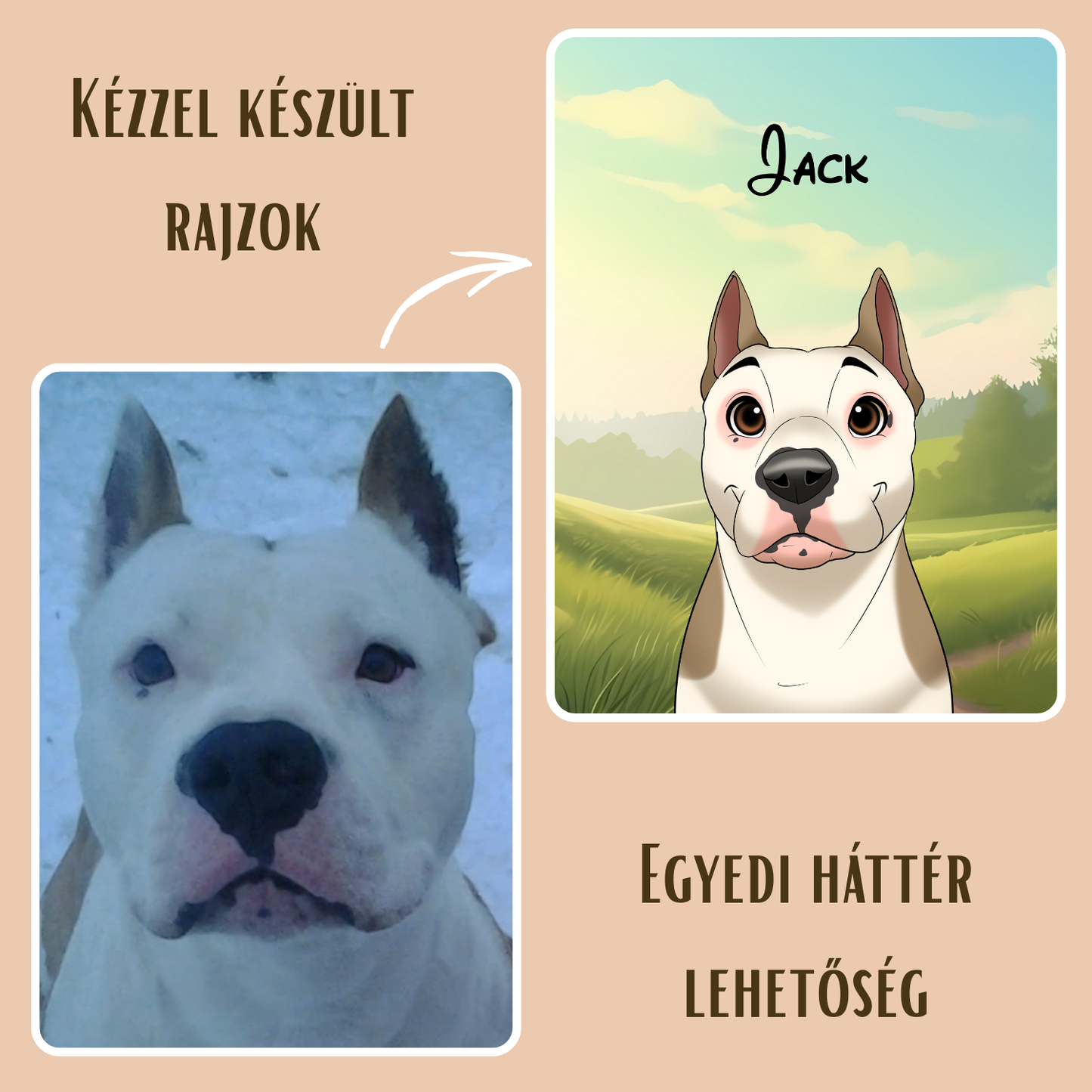 PetDraw™ Digitális Kisállatportré