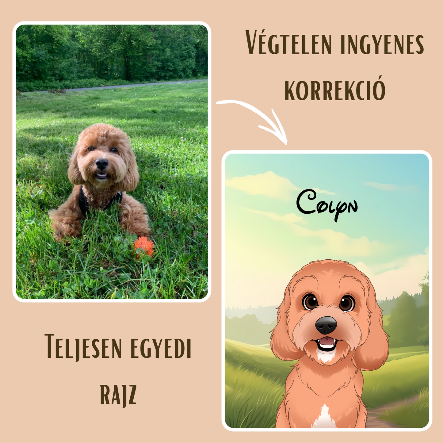 PetDraw™ Digitális Kisállatportré