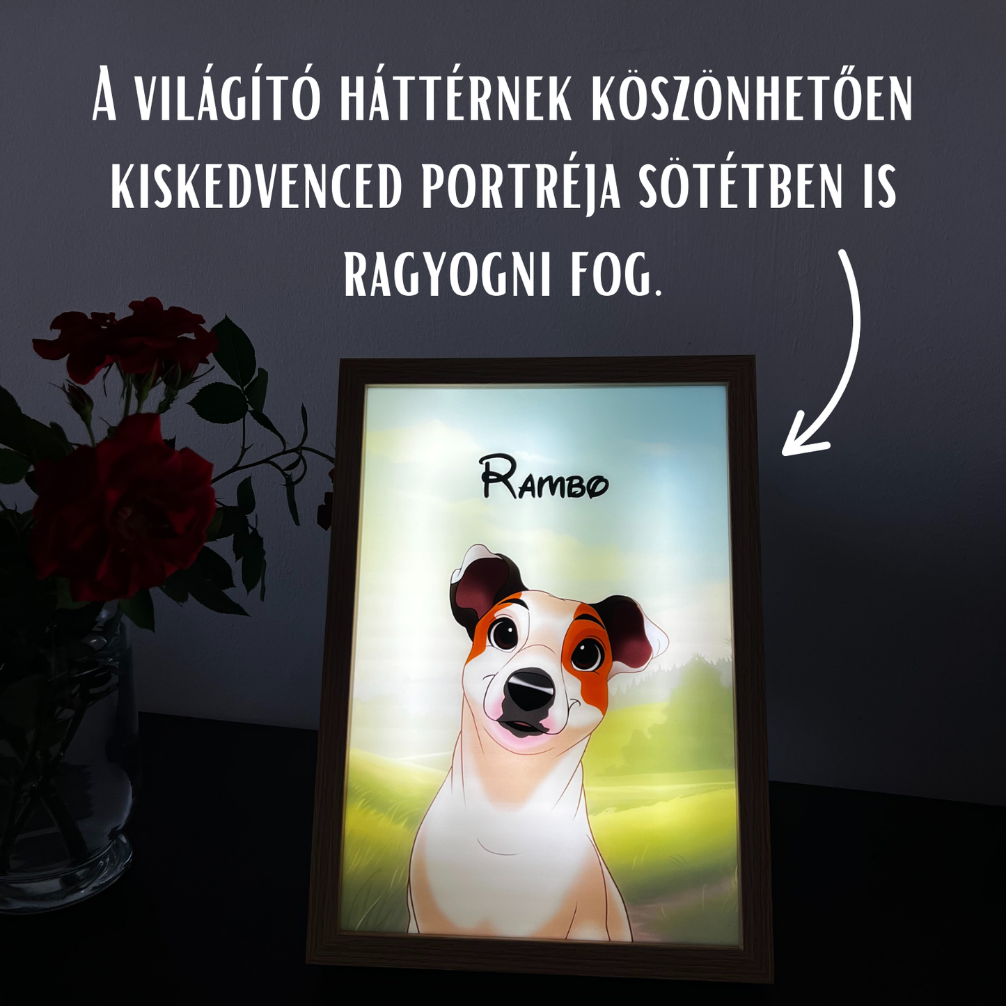 PetGlow™ Világító Kisállatportré Csomag